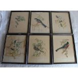 Ornithological prints - set of six after Gould & Hart, four pub. by Geo Kearsley and three after