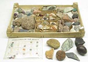 Large collection of fossils, minerals and gemstones inc. Ammonite, Labradorite, Amethyst, Blue