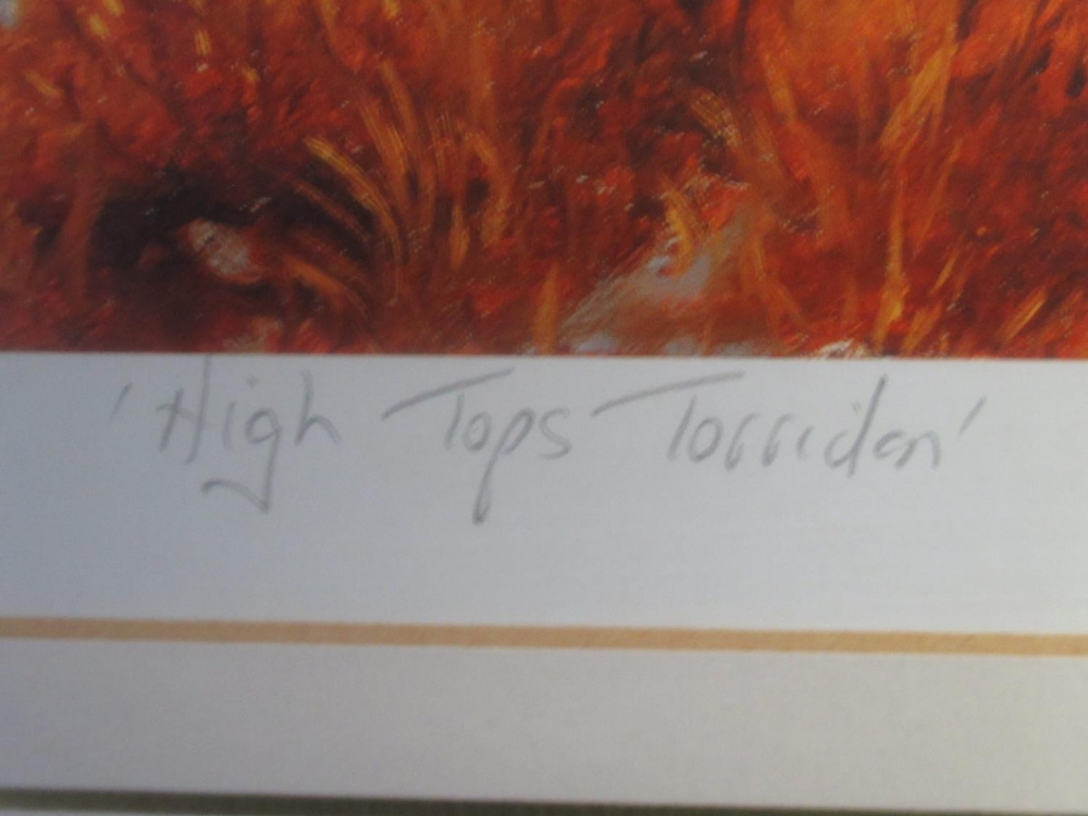 Elizabeth M Halstead (British C20th); 'High Tops Torridon', ltd.ed. colour print, signed, titled and - Image 6 of 16