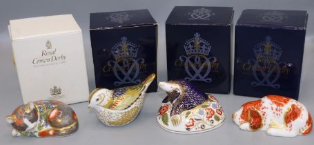 Four Royal Crown Derby Collectors Guild paperweights: Mole, Catnip Kitten, Firecrest, and Puppy,