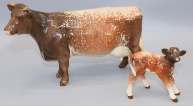 Beswick Dairy Shorthorn Cow 'Ch. Eaton Wild Eyes 91st', model No. 1510, and a Dairy Shorthorn Calf