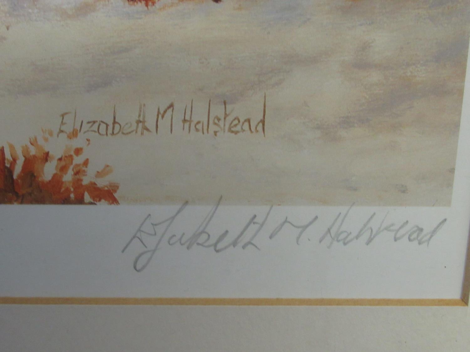 Elizabeth M Halstead (British C20th); 'High Tops Torridon', ltd.ed. colour print, signed, titled and - Image 7 of 16