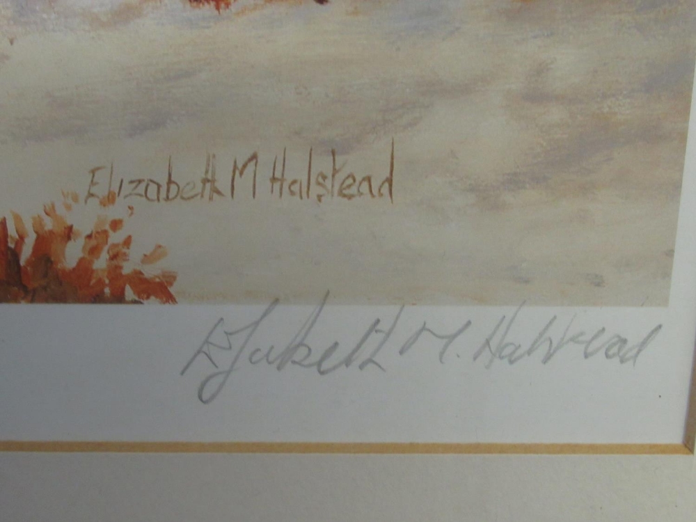 Elizabeth M Halstead (British C20th); 'High Tops Torridon', ltd.ed. colour print, signed, titled and - Image 8 of 16