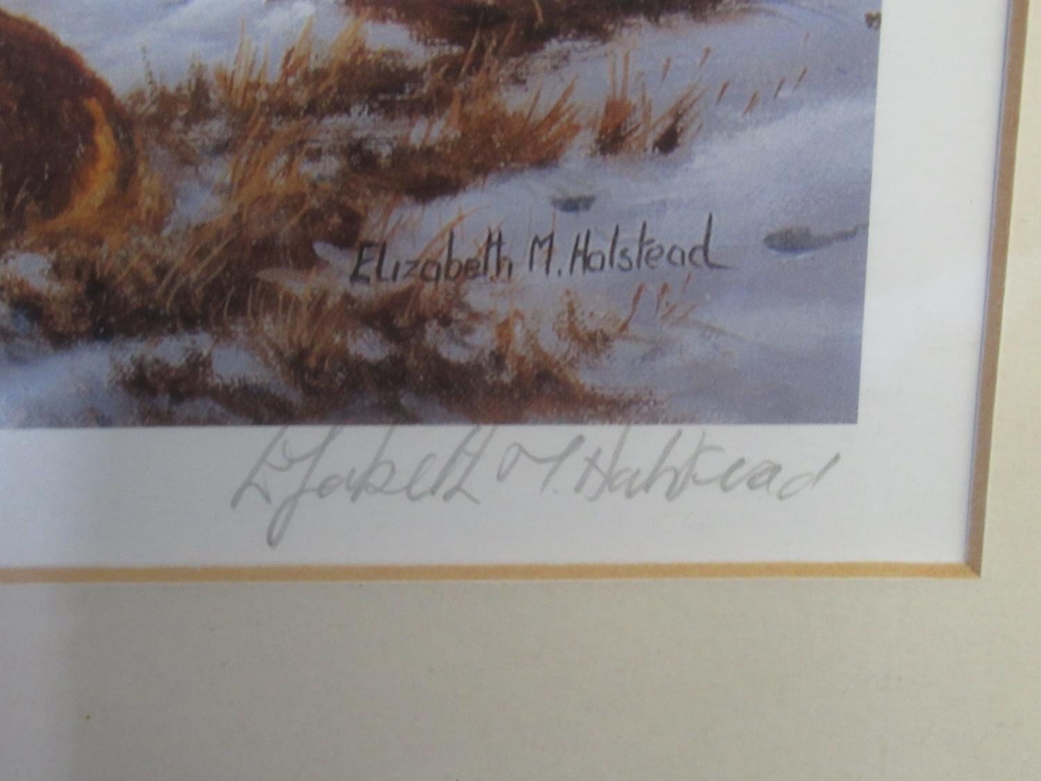 Elizabeth M Halstead (British C20th); 'High Tops Torridon', ltd.ed. colour print, signed, titled and - Image 15 of 16