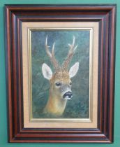 Elizabeth M Halstead (British C20th); Roe Buck, oil on board, signed, 28cm x 18cm