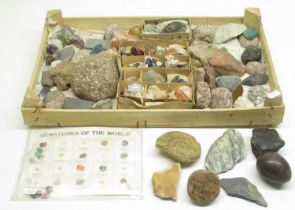 Large collection of fossils, minerals and gemstones inc. Ammonite, Labradorite, Amethyst, Blue