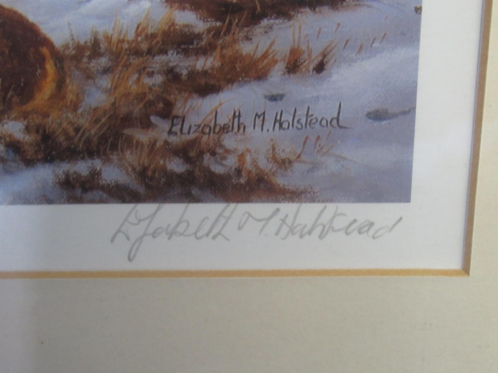 Elizabeth M Halstead (British C20th); 'High Tops Torridon', ltd.ed. colour print, signed, titled and - Image 16 of 16