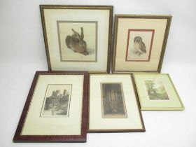 Assorted collection of framed prints inc. prints of Albrecht Durer's rabbit and owl, print of Durham