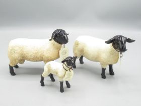 Border Fine Arts Pottery Suffolk Tup A4587, Suffolk Ewe A4613 & Suffolk Lamb A4590, all with