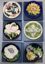 Moorcroft Pottery: six trial pin dishes/coasters - dandelion design, dated '08; 'Blush' designed