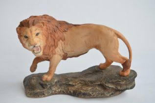 Beswick walking Lion figurine, L31cm