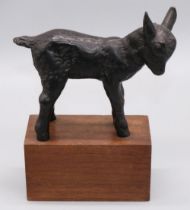 C20th cast iron model of a Goat kid, on rectangular oak plinth stamped SHW Wasseralfingen, H18cm