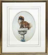 Nina Colemore MBE (British 1889-1973); Pekinese seated on a marble pedestal, oil on oval ceramic