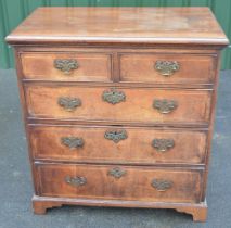 Queen Anne style walnut chest, moulded top above two short and three long cockbeaded boxwood