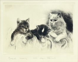 After Kurt Meyer-Eberhardt (1895-1977); Three kittens, original engraving, signed and inscribed in