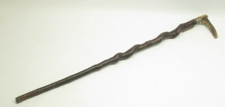 Victorian walking stick, twisted shaft with deer antler handle, plaited unmarked white metal mou