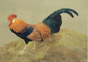 Ralston Gudgeon RSW (Scottish 1910-1984); Bantam Cock, watercolour and gouache, signed, 37cm x 50cm