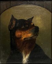 English Naive School (late C19th); Portrait of a dog, head and shoulder, in painted arch, oil on