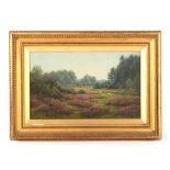 Property of a deceased estate - Frederick Golden Short (1863-1936) - A NEW FOREST CLEARING - oil