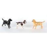 Property of a gentleman - a Beswick Wendover black labrador; together with a similar golden