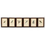 Property of a gentleman - a set of six titled ornithological bird prints, in glazed faux maple