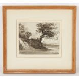 Property of a gentleman - John Varley (19th century) - TREE ON A RIVER BANK - wash, 4.05 by 5.