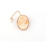 Property of a deceased estate - a modern 9ct gold framed carved shell cameo brooch, 41mm long.