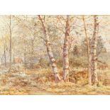 Property of a lady - Thomas Henry Hunn (1857-1928) - COTTAGE IN WOODLAND WITH SILVER BIRCHES -