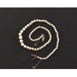 A certificated natural saltwater pearl graduated single strand necklace, the 79 cream coloured