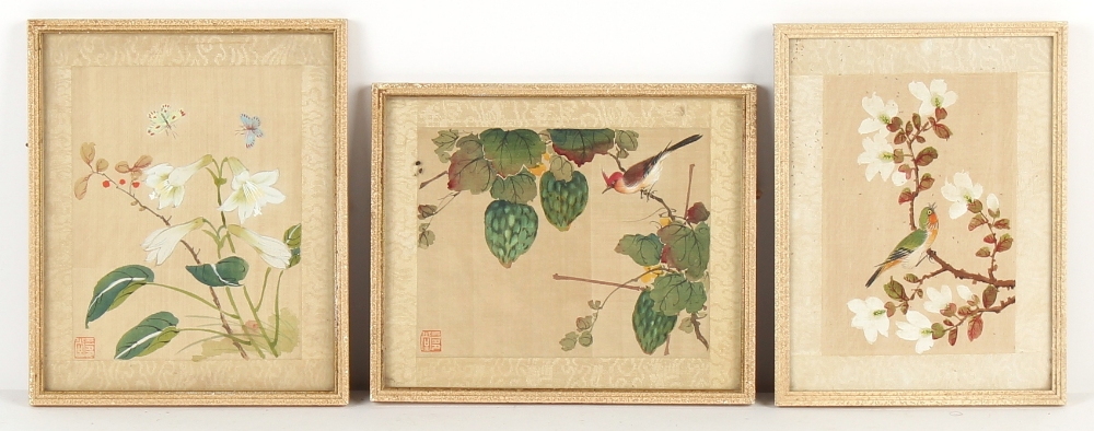 Property of a gentleman - a set of four Chinese paintings on silk depicting birds among flowering - Image 9 of 10