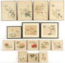 Property of a gentleman - a set of four Chinese paintings on silk depicting birds among flowering