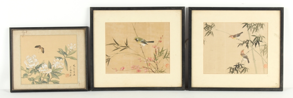 Property of a gentleman - a set of four Chinese paintings on silk depicting birds among flowering - Image 4 of 10