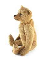 Property of a lady - an early 20th century teddy bear, circa 1905, with worn mohair, long muzzle &