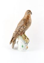 Property of a lady - a Continental porcelain model of a perched kestrel, underglaze blue crowned '