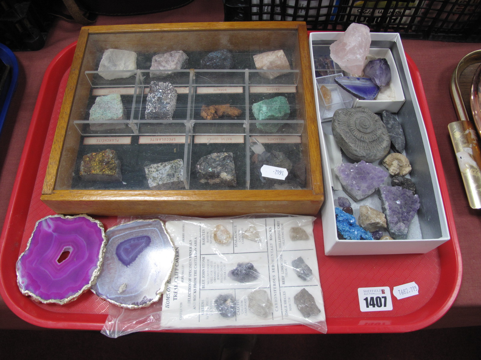 Blue John, Amethyst and other mineral specimens, ammonites.