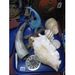 Seashells, mineral turtle, powder horn, glass fish:- One Tray