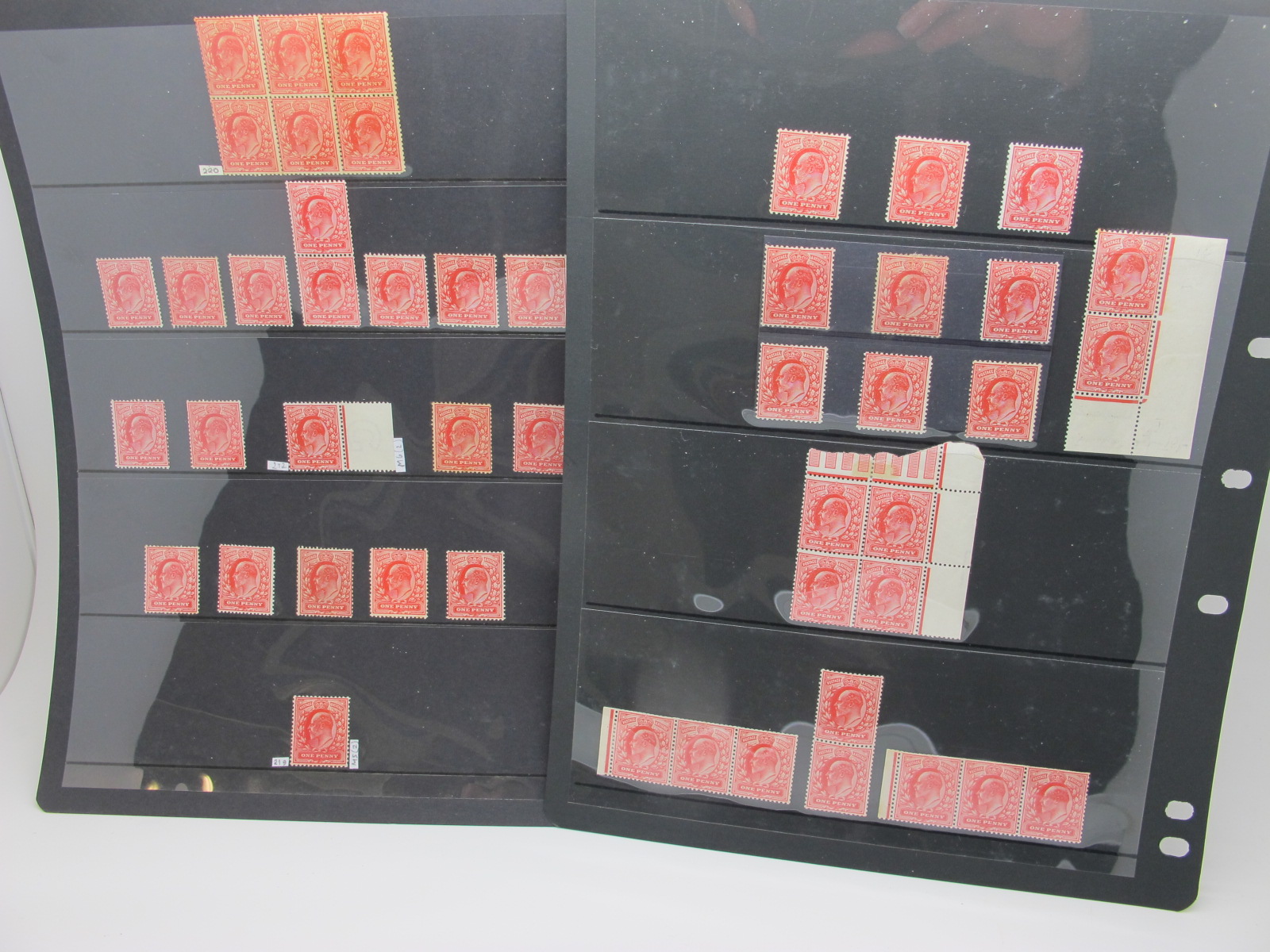 G.B King EDVII 1d Red Collection, of mint stamps many unmounted from different printers with - Image 2 of 3