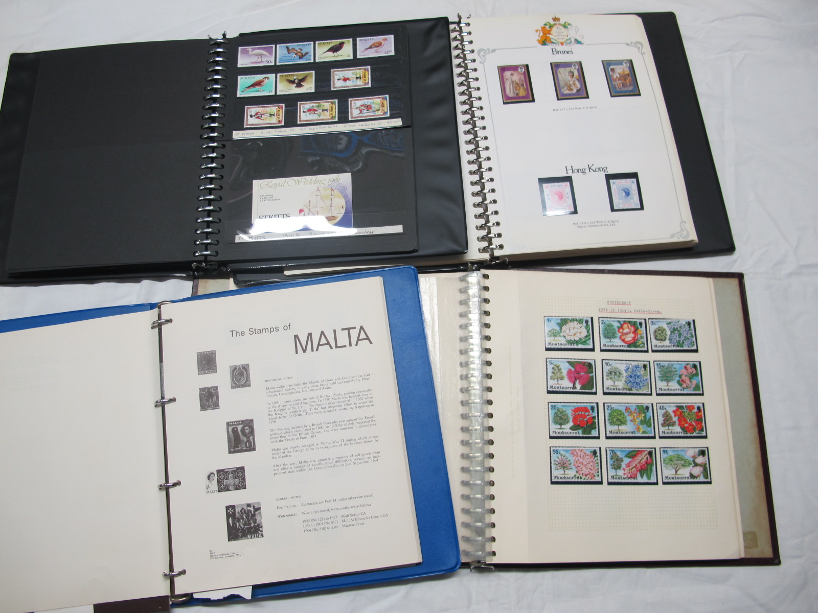 A Collection of Mainly Modern QEII British Commonwealth Stamps, housed in two luxury albums, loose