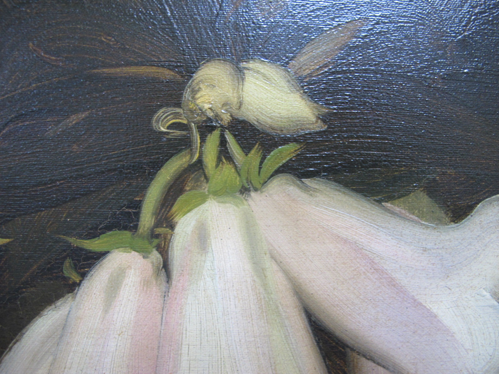 ENGLISH SCHOOL White Lilies, oil on canvas, signed indistinctly lower right, 49 x 59cm. - Image 4 of 8