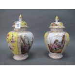 A Pair of Late XIX/Early XX Century Porcelain Vases and Covers, of ovoid form, decorated with