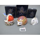 Three Royal Crown Derby Porcelain Paperweights, 'Orchard Hedgehog', 'Nesting Robin' and 'Baby