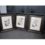 Three Butterfly Themed Prints, 29 x 20cm, in blackened frames, 59 x 49.5cm. (3)