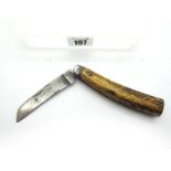 Saynor Flat Bottom Pruner, stag scales, single blade, single steel bolster, 11cm.
