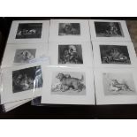After Sir Edwin Landseer RA, engravings of dogs, circa late XIX Century, including "The Breakfast P