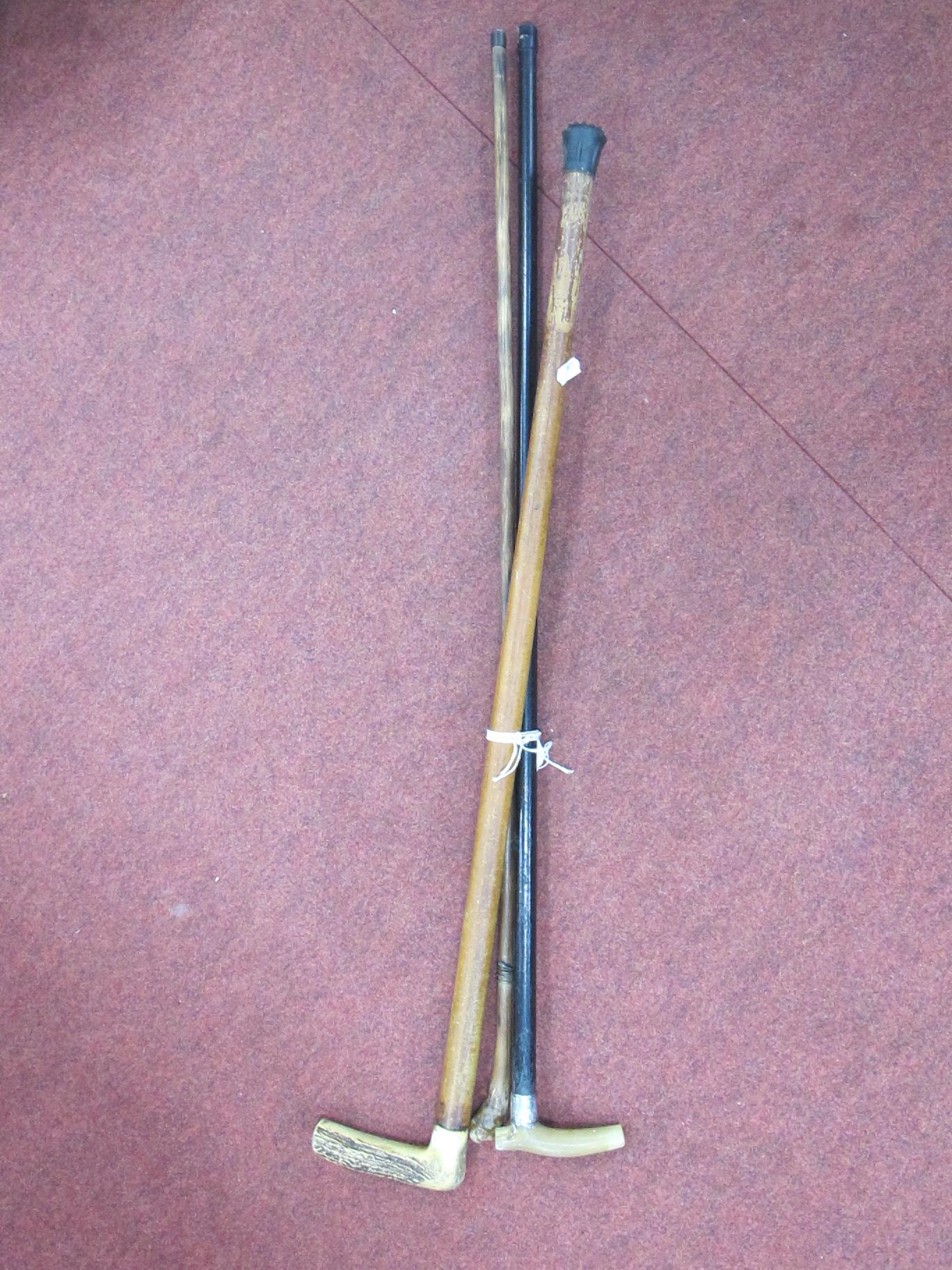 Early XX Century Walking Stick and one other stick. (3)