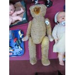 Large Gold Plus Teddy Bear, with jointed limbs, black stitched nose, approximately 69cm high.