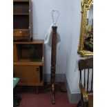 XIX Century and Later Mahogany Standard Lamp, with a spiral and column on cabriole legs, (