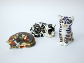 Three Royal Crown Derby Porcelain Paperweights; 'Catnip Kitten', 'Misty' and 'Grey Kitten', all gold