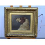 ENGLISH SCHOOL (XIX Century) Portrait of a Dog's Head, oil on canvas, unsigned, 24 x 28cm.