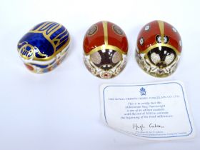 Three Royal Crown Derby Porcelain Paperweights; 'Millennium Bug', with certificate, 'Ladybird -